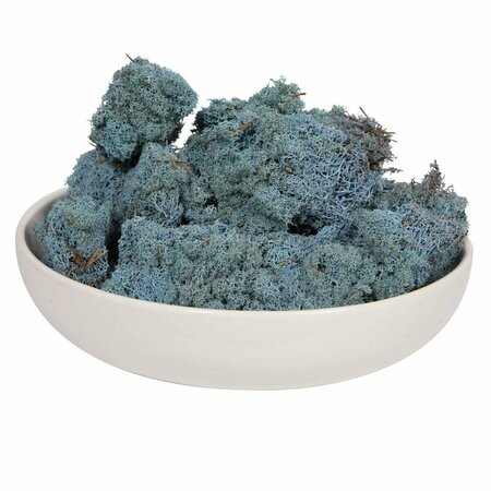 DARE2DECOR 2 lbs Reindeer Moss, Light Blue DA3260624